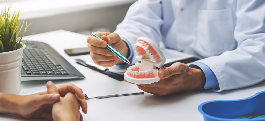 tooth model